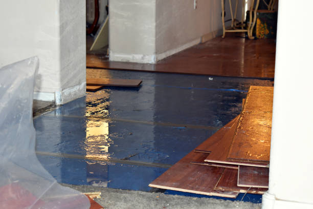 Professional Emergency Water Damage Restoration technician working in Hermitage, PA